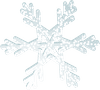 snowflake 1